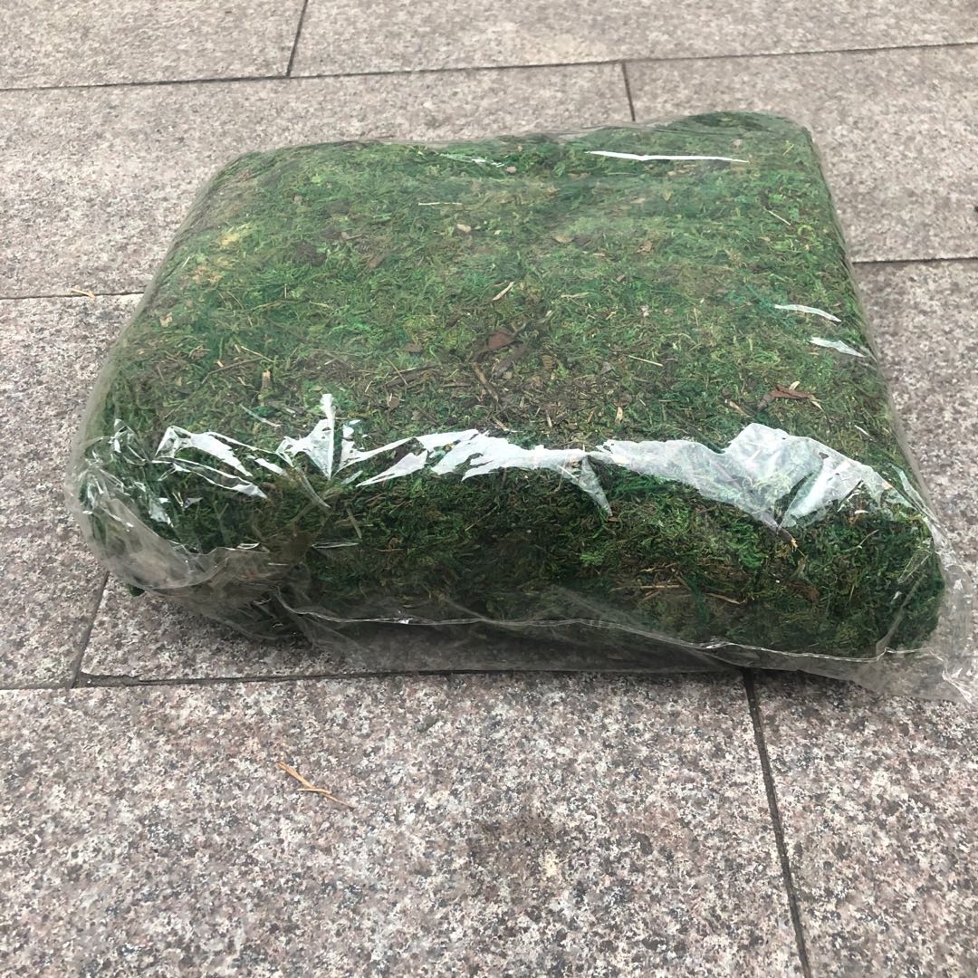 Artificial moss, artificial decorative grass, artificial dry grass, moss, true moss, dead grass, artificial plant, mountain vine Specification image