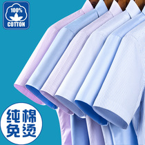 High-end men's shirt DP garment ironed wrinkle-resistant breathable smooth simple business men's shirt to work professional men's shirt