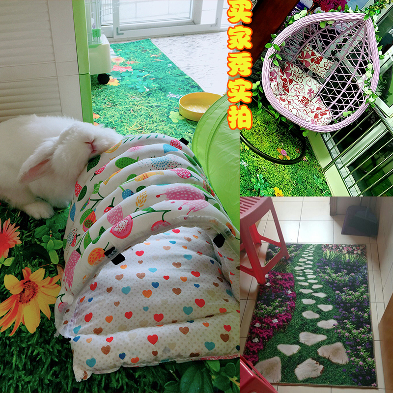 家用地毯实物图