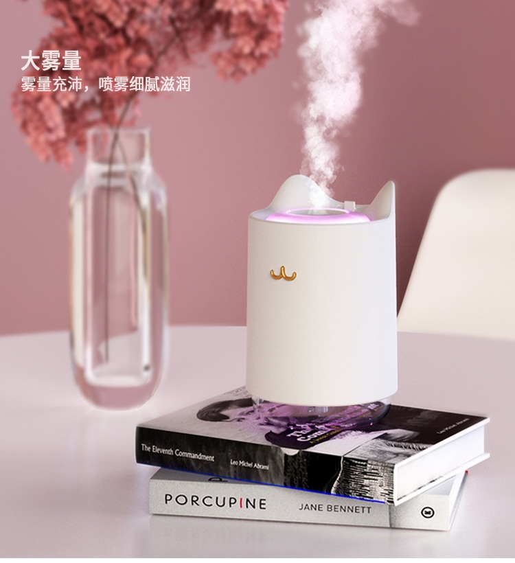 Factory direct sales mini USB humidifier, night light, bedroom, office desktop, creative gift, multi-functional humidifier details Picture