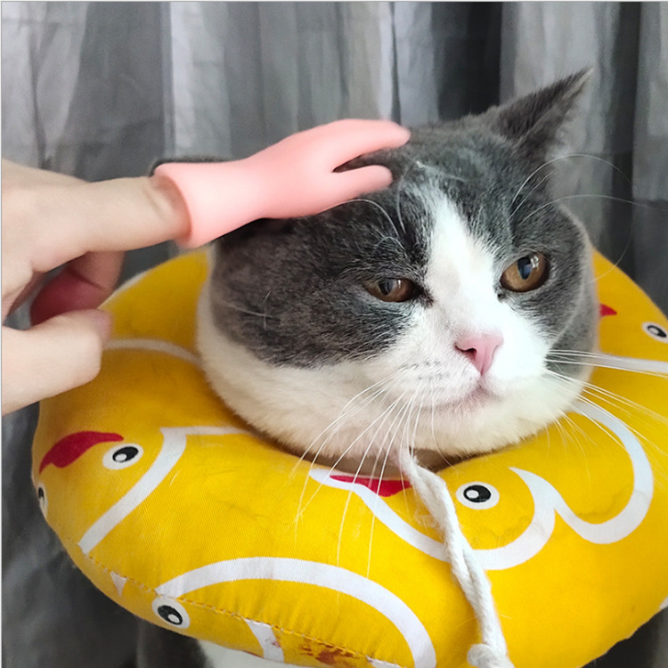 猫猫玩具实物图
