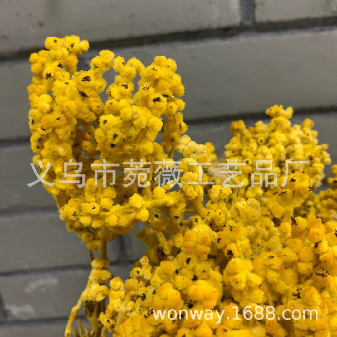 Natural plant preserved rose with grass rice and silo flower arrangement floating bottle handicraft Application Scenario