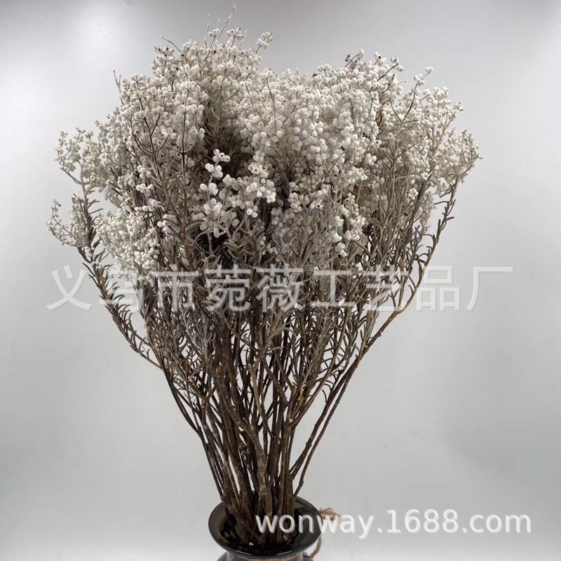 Natural plant preserved rose with grass rice and silo flower arrangement floating bottle handicraft Specification image