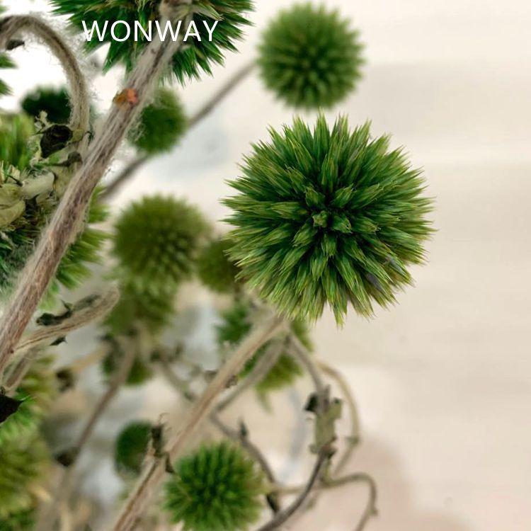 Eternal rose with grass, Blue Planet Flower Shop soft decoration, birthday gift, wedding gift, dried grass, preserved fresh flowers Item Picture