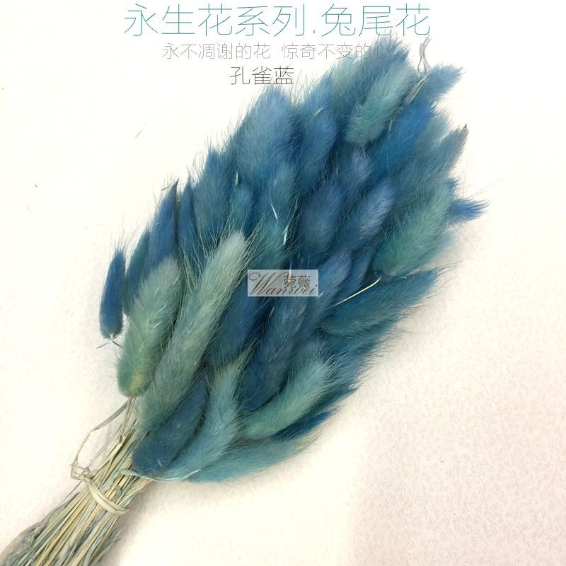 DIY natural plant dried flower materials: dog tail and rabbit tail grass