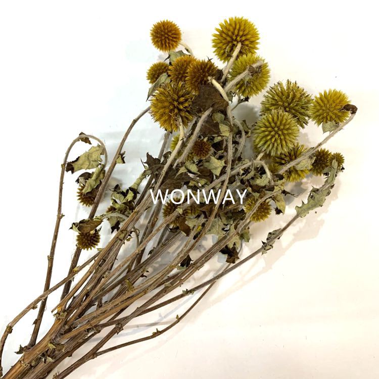 Eternal rose with grass, Blue Planet Flower Shop soft decoration, birthday gift, wedding gift, dried grass, preserved fresh flowers details Picture