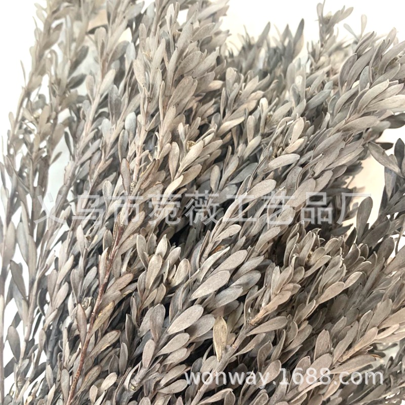 台商馆(花类·饰品·工艺品)细节图
