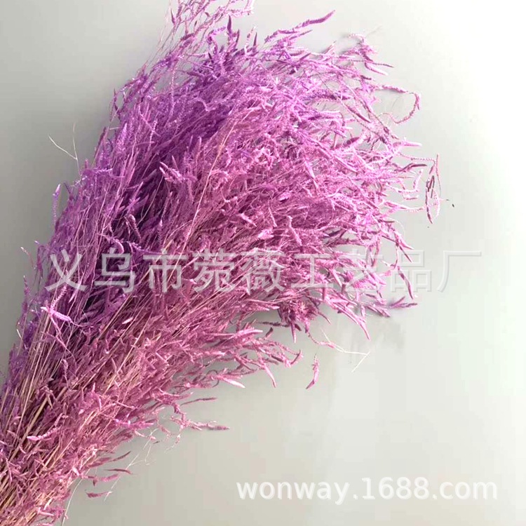 Natural plant preserved dried flowers, imported wind-driven grass handicrafts, flower arrangement, floating bottle, keychain with grass details Picture