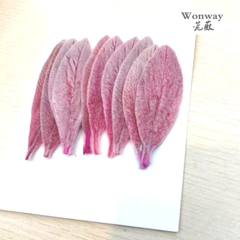 Eternal preservation leaves, cotton, wool, water Perilla and rose, specially designed for flower shop handicrafts details Picture