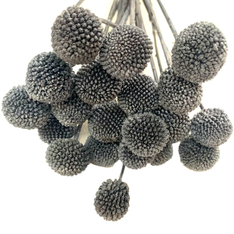Yunnan natural plants, preserved flowers, preserved plants, golden balls, ornaments, handicrafts, special grass for flower arrangement Application Scenario