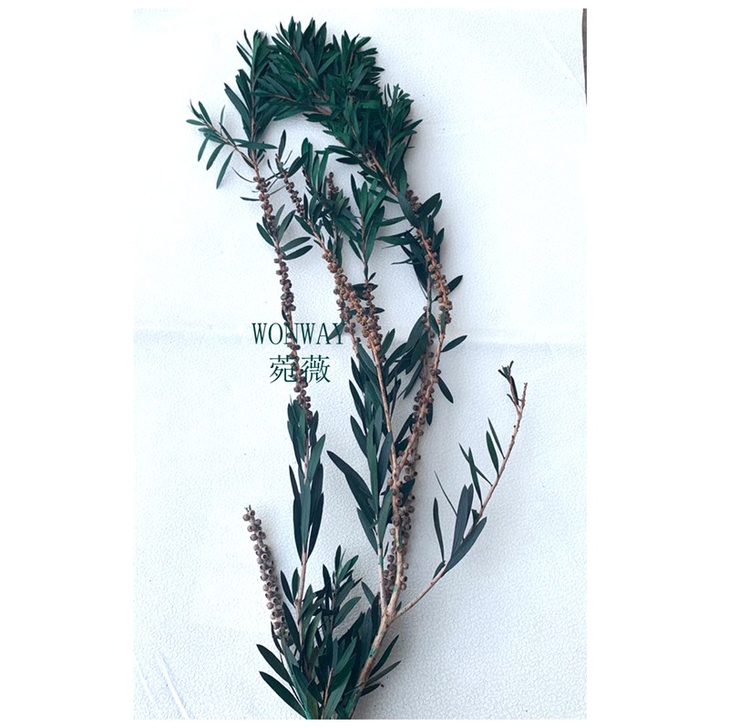 台商馆(花类·饰品·工艺品)白底实物图