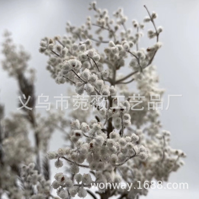 Natural plant preserved rose with grass rice and silo flower arrangement floating bottle handicraft details Picture