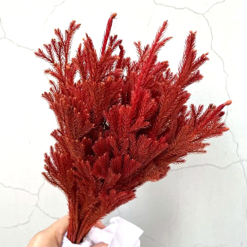 Factory direct sales of natural plant preserved fresh flowers, rose with grass, stone pine flower arrangement handicrafts, and grass for floating bottles Application Scenario