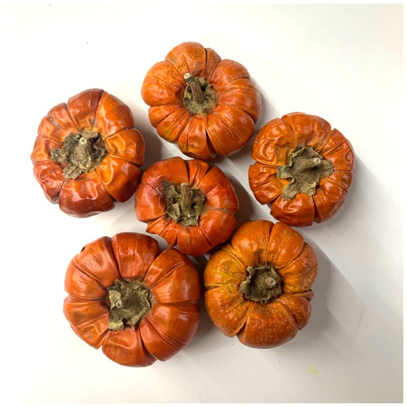 Natural plant dried fruits, small pumpkins, flower arrangements, handicrafts, soft furnishings, grass