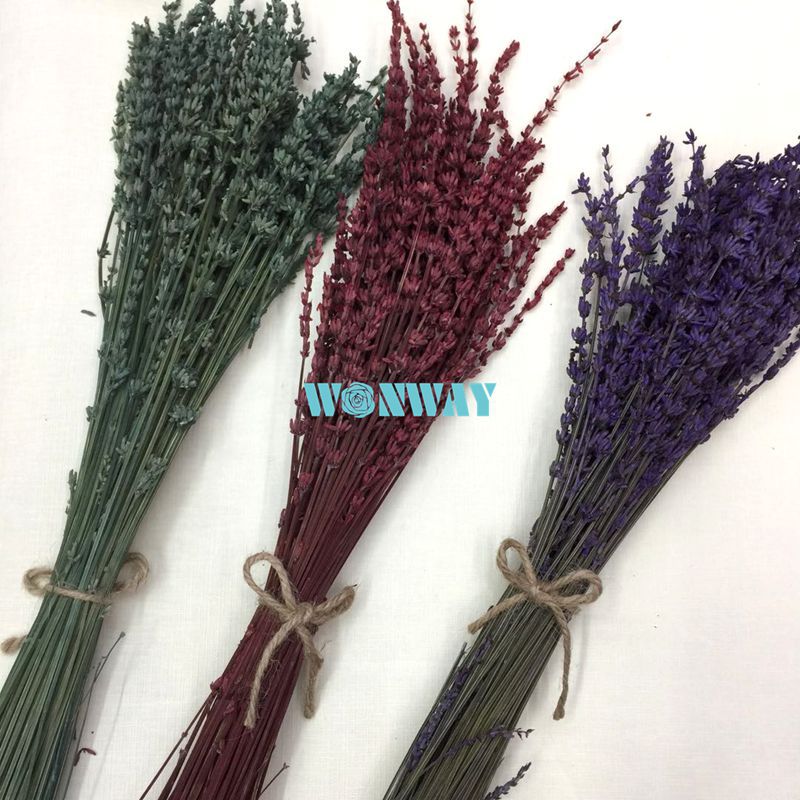 永生花干花 永不掉落的花 熏衣草