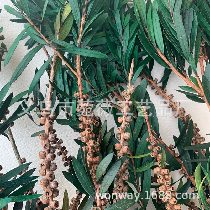 其他分类实物图