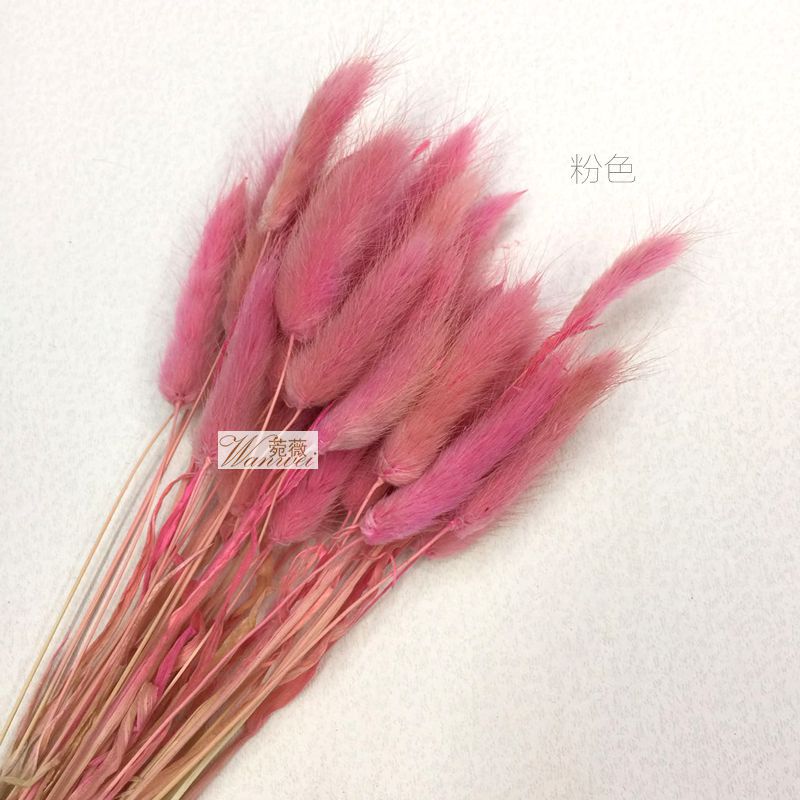 DIY natural plant dried flower materials: dog tail and rabbit tail grass Application Scenario