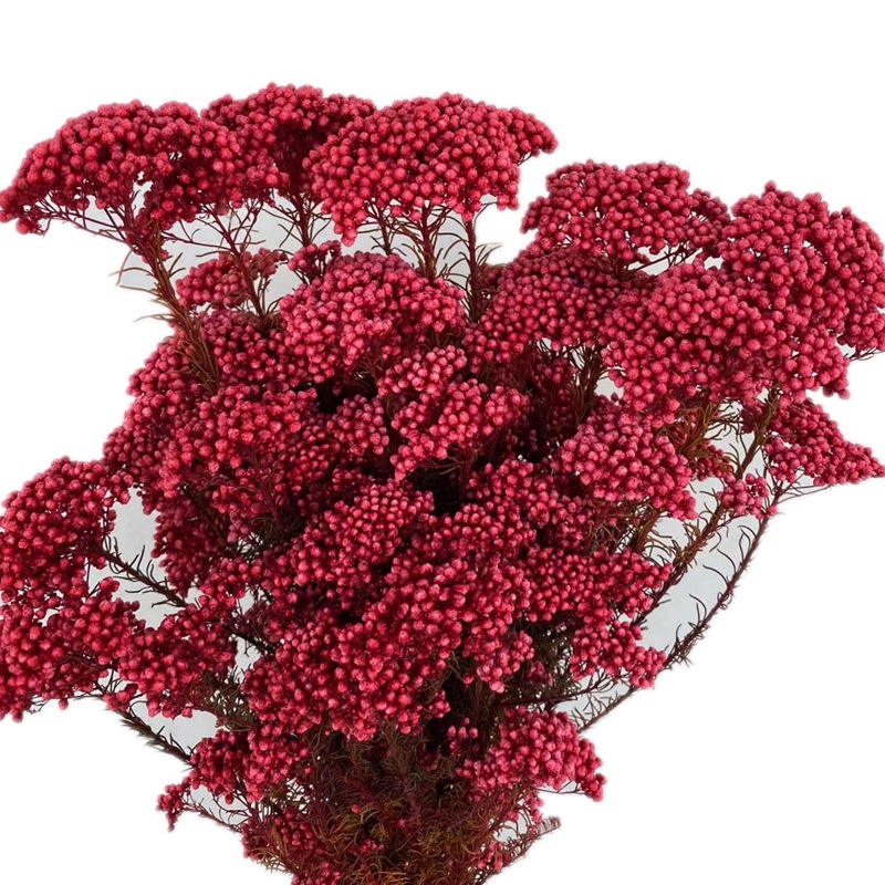 Yunnan manufacturer wholesale everlasting preserved fresh flowers, rose with grass, rice flower, rice grain flower arrangement, floating bottle, photo frame, special