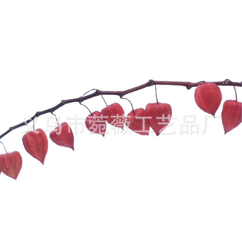 Natural plant, eternal preservation, red lantern flower arrangement handicrafts, soft furnishings, grass Application Scenario
