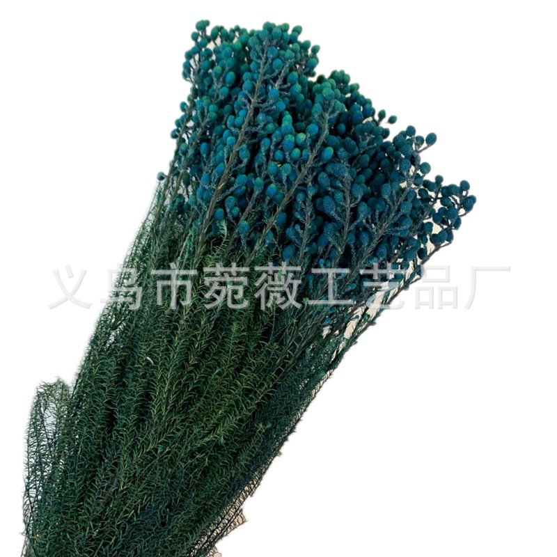 Yunnan Yongsheng Preserved fresh Flower Pepper Bean Flower Art Photo Frame, Floating bottle, special for flower shops Application Scenario