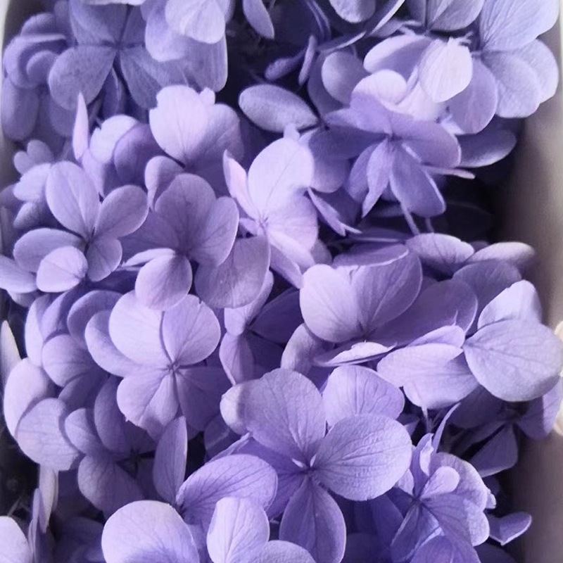 Natural plant preservation eternal flower Atlantis wood hydrangea floating bottle, special for flower arrangement handicrafts