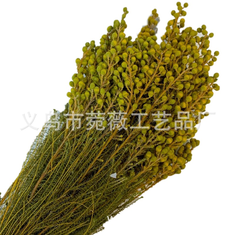 Yunnan Yongsheng Preserved fresh Flower Pepper Bean Flower Art Photo Frame, Floating bottle, special for flower shops details Picture