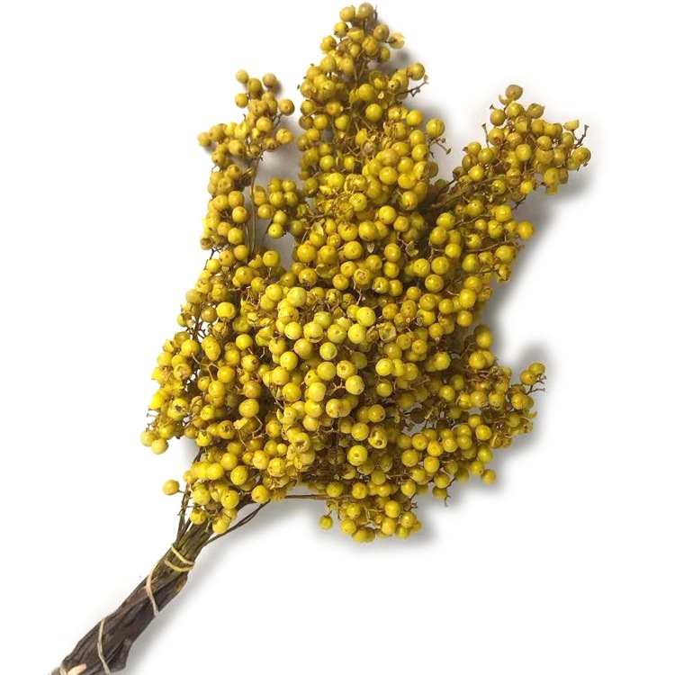 Eternal flower dried flower handicrafts with grass floating bottles, special berries, pepper and tofu pudding shop soft decoration