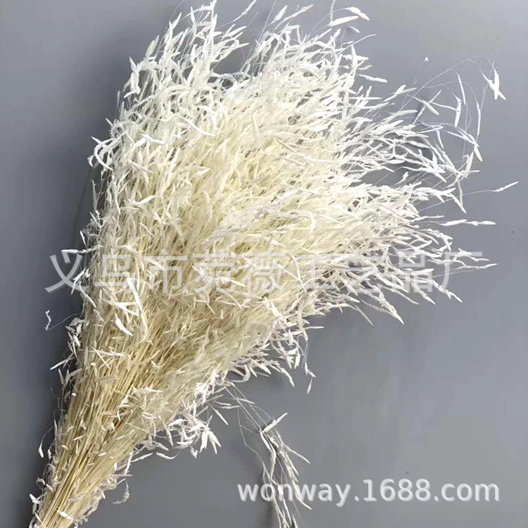Natural plant preserved dried flowers, imported wind-driven grass handicrafts, flower arrangement, floating bottle, keychain with grass