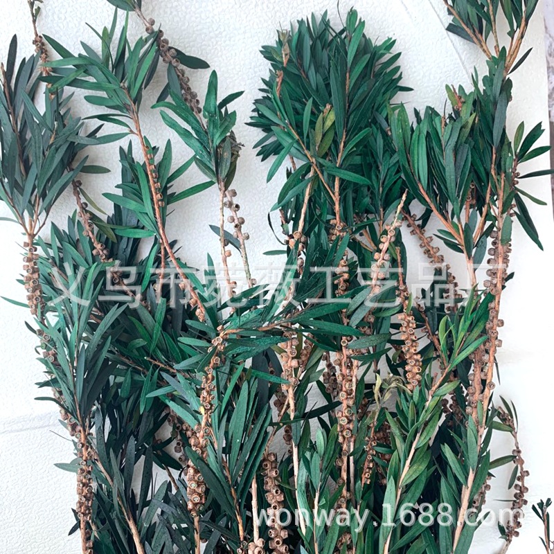 台商馆(花类·饰品·工艺品)产品图