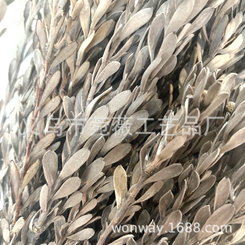 台商馆(花类·饰品·工艺品)产品图