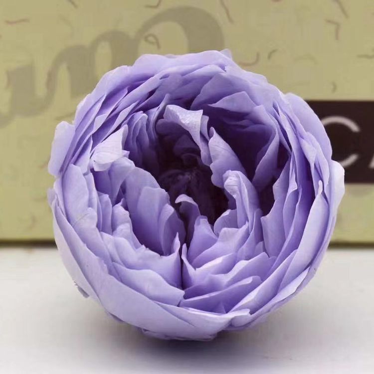 Grade A preserved flower, butterfly Austin rose, everlasting flower, rose gift, never-fading flowers for birthdays Specification image