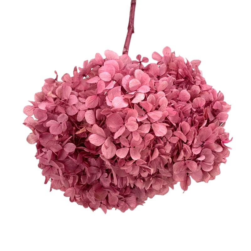 Natural plant, evergreen, large-leaf hydrangea, flower arrangement, handicrafts, soft furnishing grass Item Picture