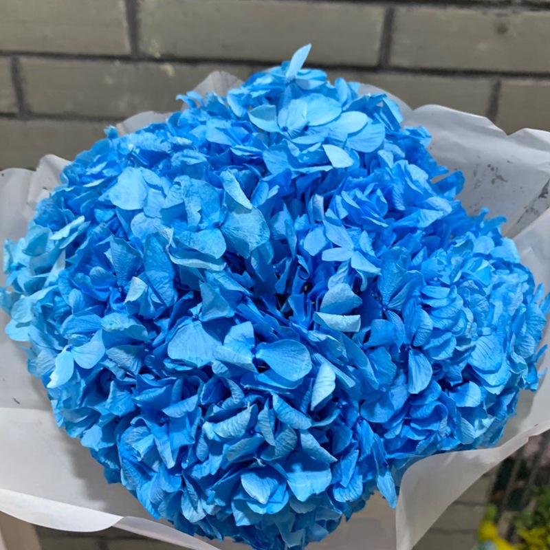 Natural plant, evergreen, large-leaf hydrangea, flower arrangement, handicrafts, soft furnishing grass details Picture