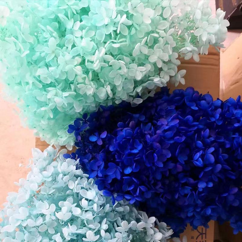 Yunnan factory direct sales of medium-leaf A-grade hydrangea preserved flower materials, rose and grass for Valentine's Day Specification image