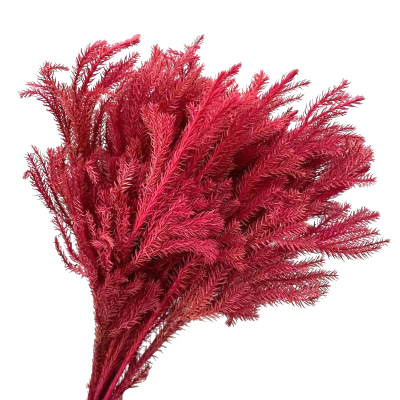Factory direct sales of natural plant preserved fresh flowers, rose with grass, stone pine flower arrangement handicrafts, and grass for floating bottles Item Picture