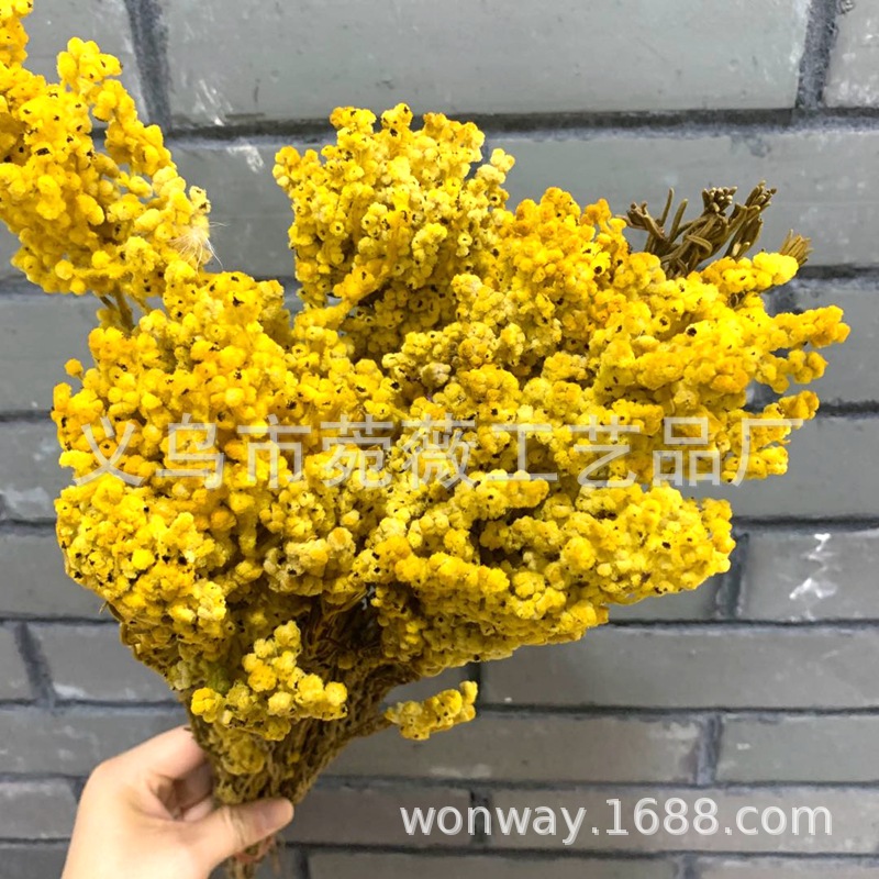 Natural plant preserved rose with grass rice and silo flower arrangement floating bottle handicraft