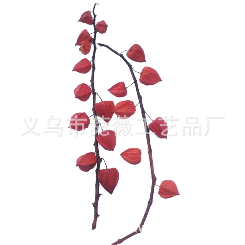 Natural plant, eternal preservation, red lantern flower arrangement handicrafts, soft furnishings, grass Specification image