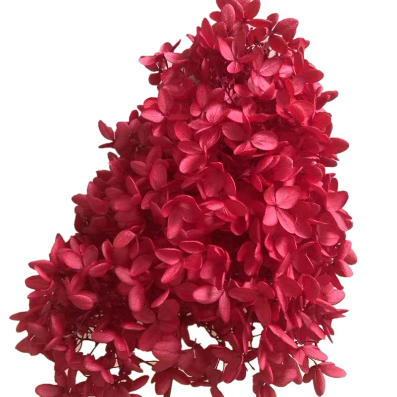 Yunnan factory direct sales of medium-leaf A-grade hydrangea preserved flower materials, rose and grass for Valentine's Day Item Picture