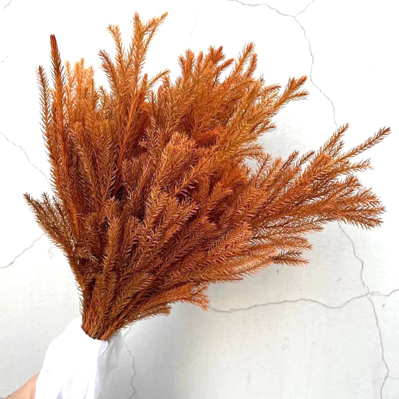 Factory direct sales of natural plant preserved fresh flowers, rose with grass, stone pine flower arrangement handicrafts, and grass for floating bottles details Picture