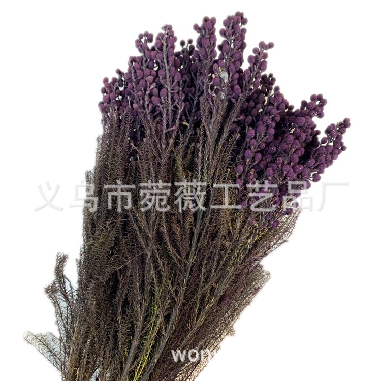 Yunnan Yongsheng Preserved fresh Flower Pepper Bean Flower Art Photo Frame, Floating bottle, special for flower shops