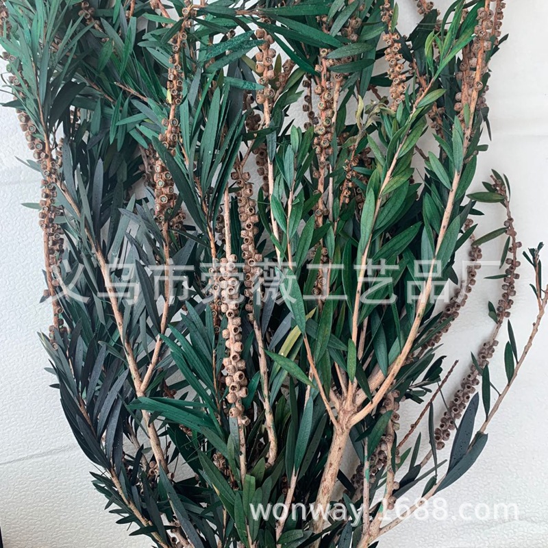 台商馆(花类·饰品·工艺品)细节图