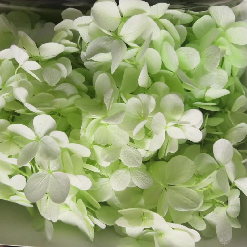 Natural plant preservation eternal flower Atlantis wood hydrangea floating bottle, special for flower arrangement handicrafts Application Scenario