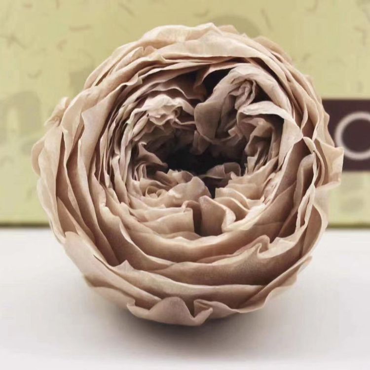 Grade A preserved flower, butterfly Austin rose, everlasting flower, rose gift, never-fading flowers for birthdays Application Scenario