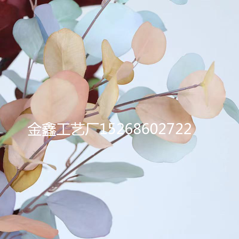 鲜切花实物图
