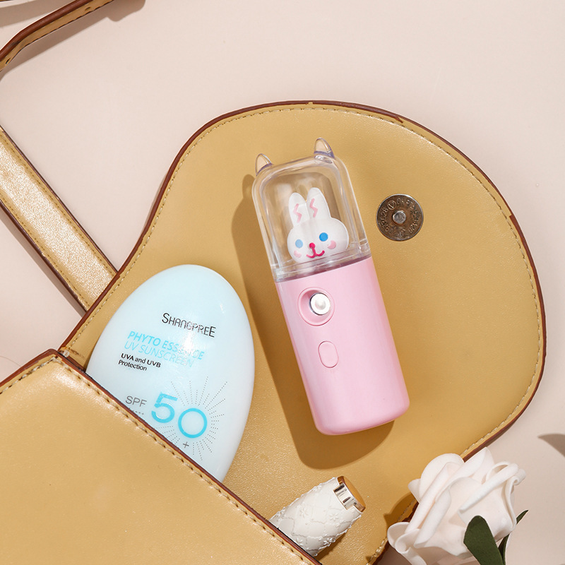 New cute pet creative hydration device, face steamer, portable sprayer, rechargeable small portable beauty humidifier Application Scenario