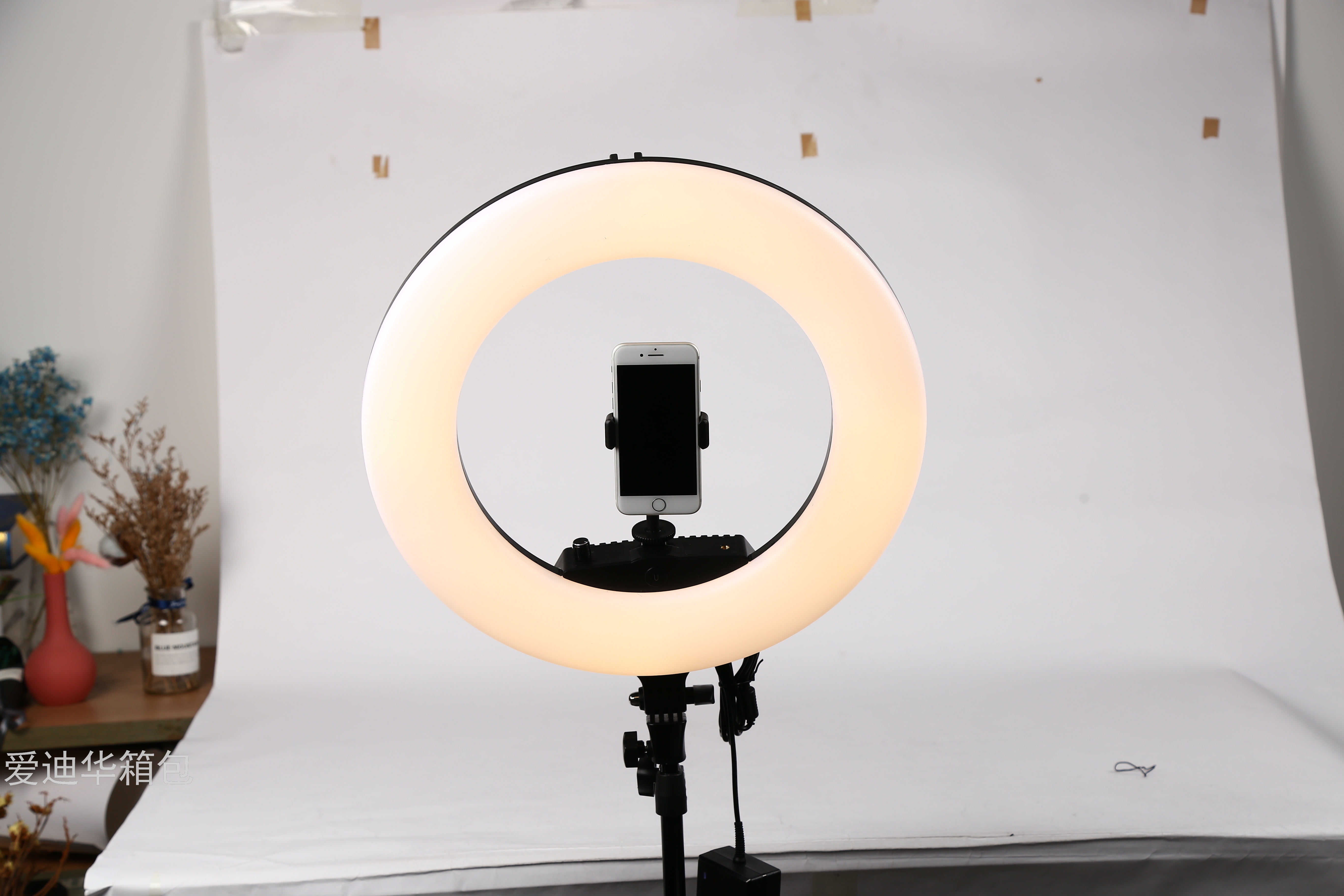 Led 18-inch circular fill light, live-streaming douyin photography light, 21/22-inch beauty selfie lighting light Item Picture