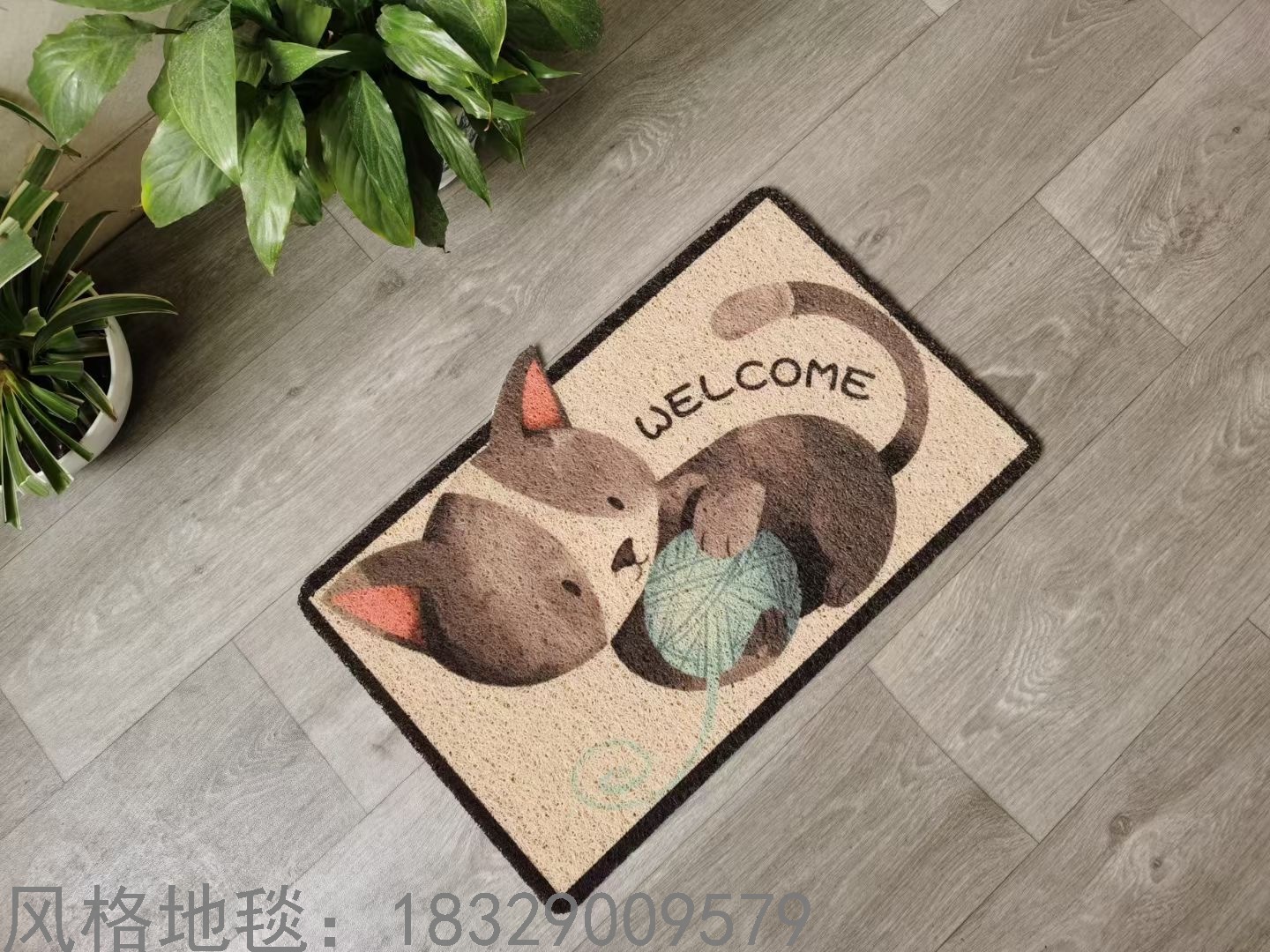 其他宠物周边用品实物图
