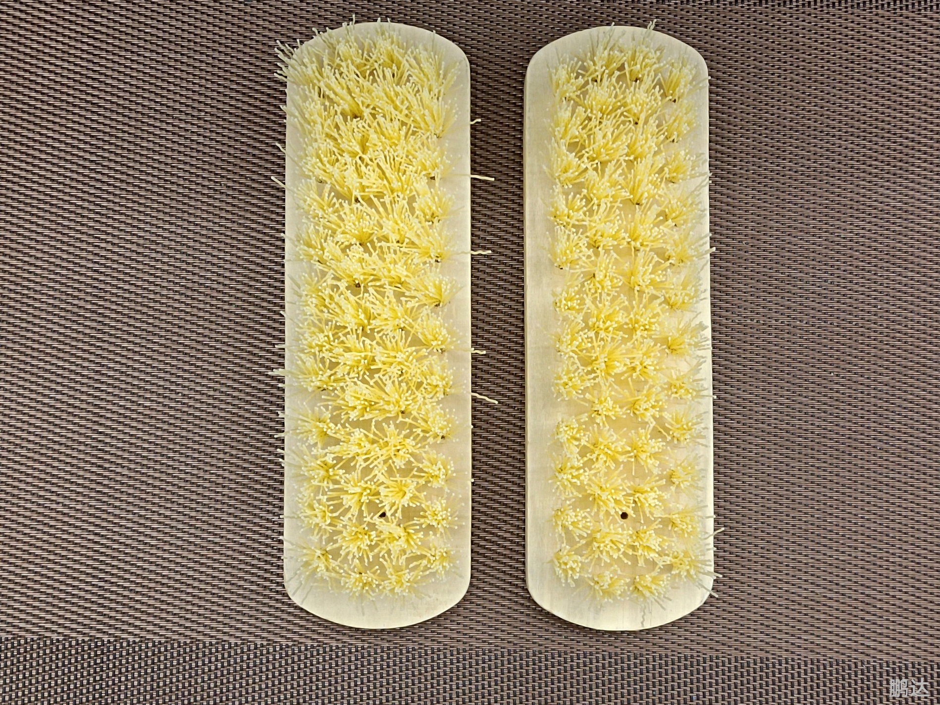 木刷，鞋刷，洗衣刷