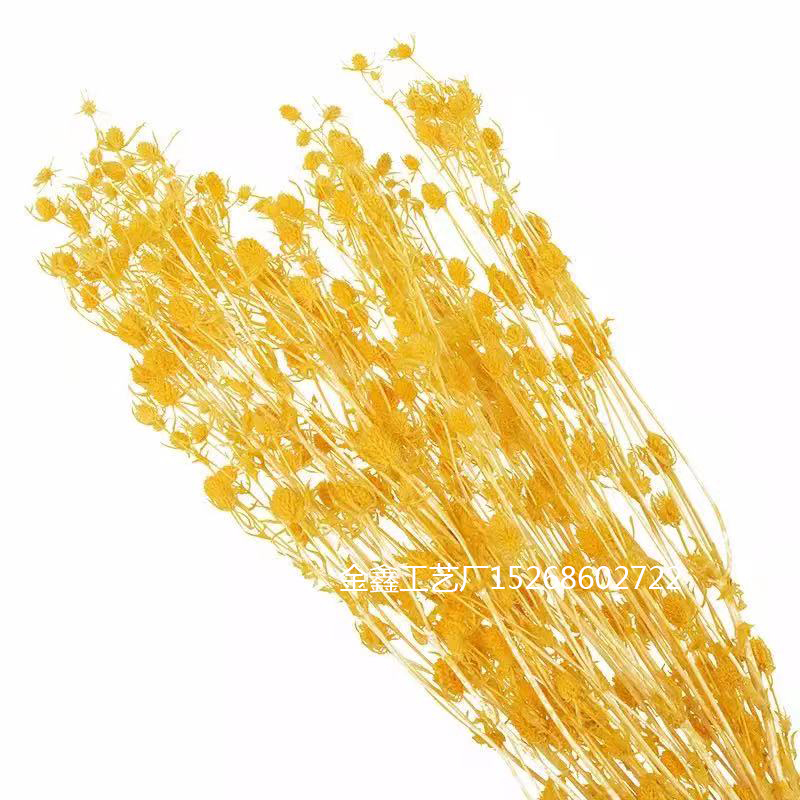 情人果永生花干花刺芹草莓果蓝星球胸花手腕花diy花材家居摆件细节图