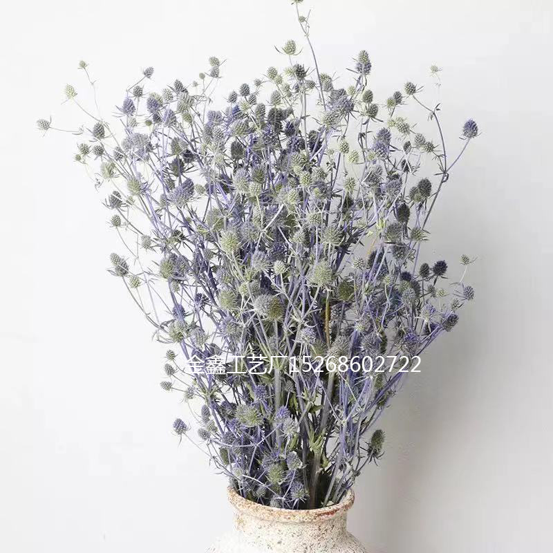 情人果永生花干花刺芹草莓果蓝星球胸花手腕花diy花材家居摆件